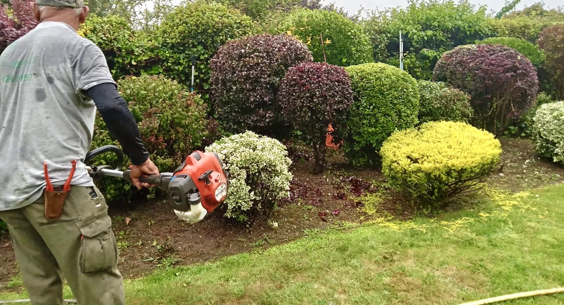 Servicios completos de jardinería a domicilio en A Coruña