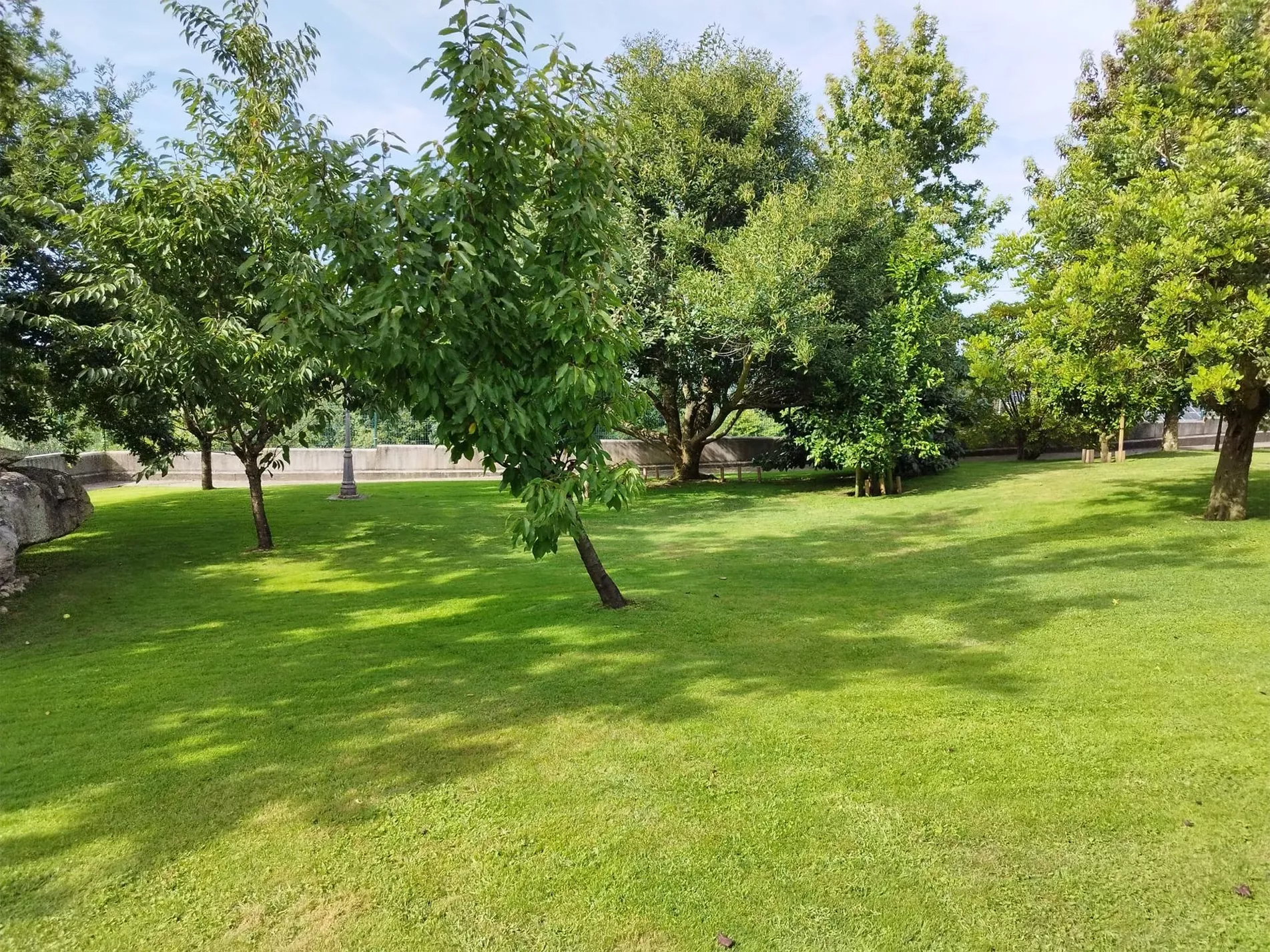 Empresa especializada en jardinería a domicilio en A Coruña