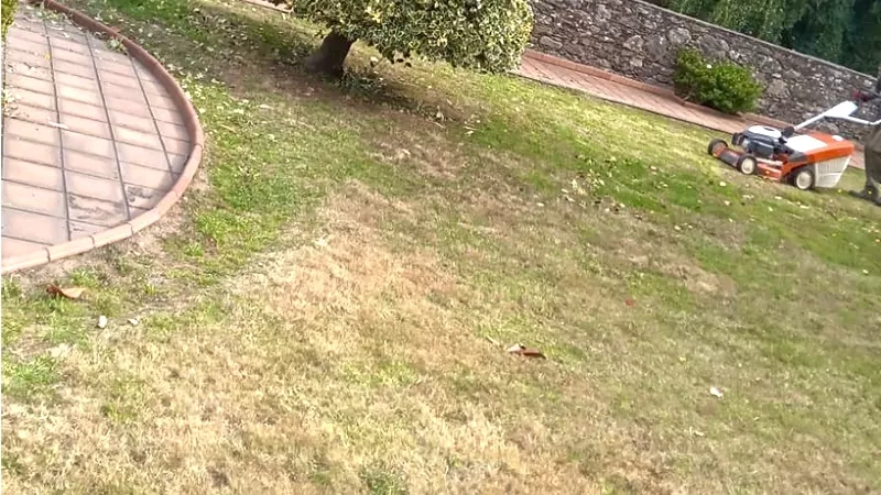Servicio profesional de plantación de césped en A Coruña