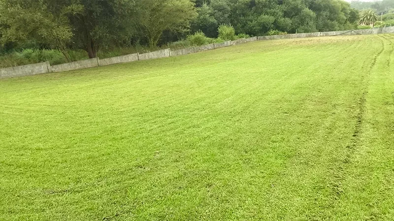 Instalación profesional de tepes de césped en A Coruña
