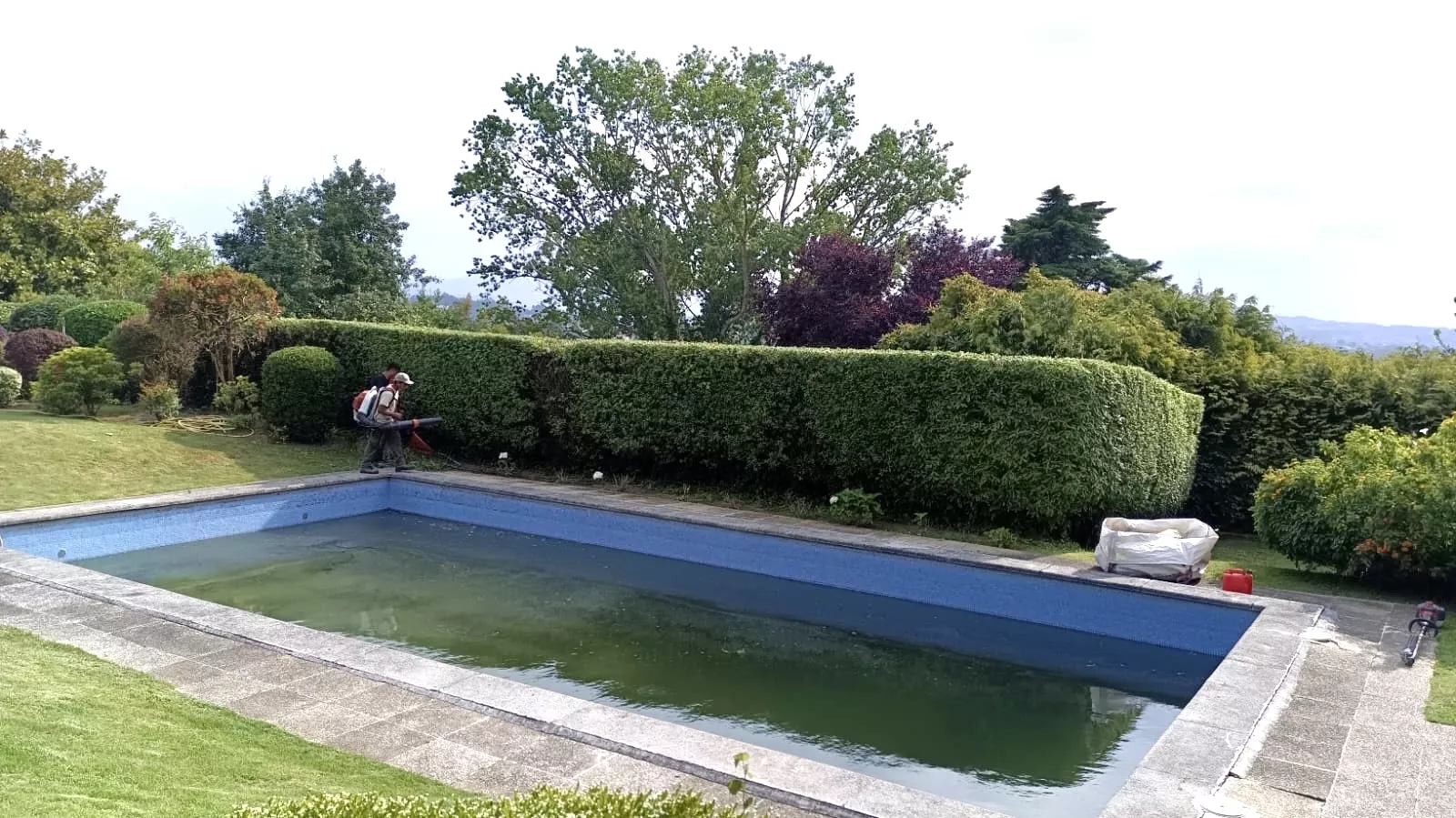 Formulario y datos de contacto de Jardinería DJ en A Coruña